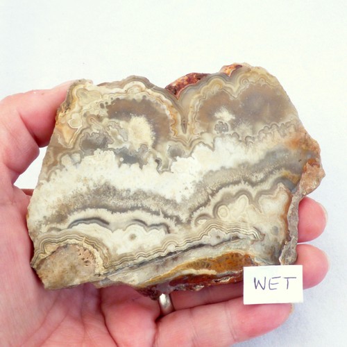 Mexican crazy lace agate slice - lace,