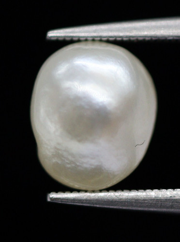 Natural saltwater pearl - saltwater, x