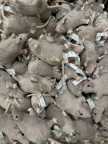 Ikea gosig ratta rat - ,