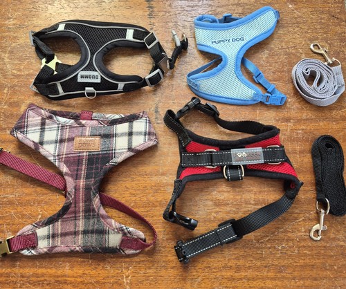 Dog accessories job lot - accessories,