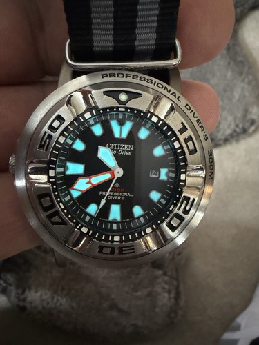 Citizen ecozilla professional - ecozilla,