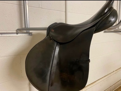 Albion jump hunt saddle - albion, mw