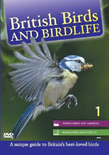 British birds and birdlife - british,