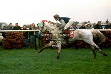 DESERT ORCHID 1990 KING GEORGE