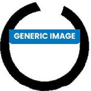 Crankshaft shaft seal - crankshaft,