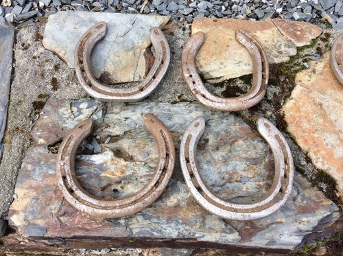 Horseshoe used horse shoes - horseshoe,
