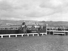 L'ESCARGOT 1970 GOLD CUP