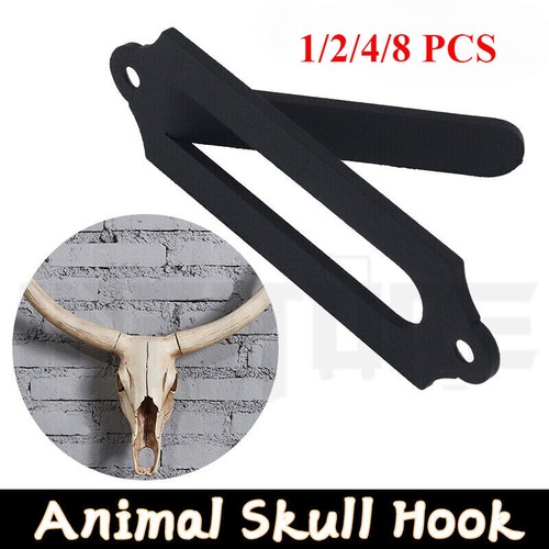 European skull wall mount - european,