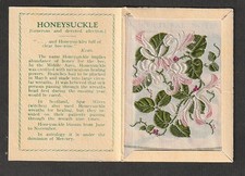 RARE Kensitas WIX MEDIUM silk flower Variety HONEYSUCKLE pale pink white and red