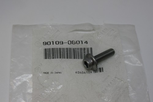 Screw mudguard crankcase - screw, mudguard/crankcase