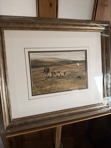 Brian irving original signed - brian, original/signed
