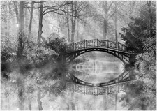 Black And White Bridge Forest