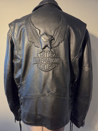 Harley davidson cruiser - harley,