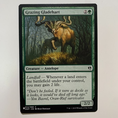 Grazing gladehart 014 080 - gladehart,