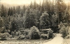 Patterson RPPC 10.S.27 Cottages at Darlingtonia Fountain CA Del Norte County