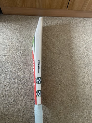 Fusion cricket bat - gn,