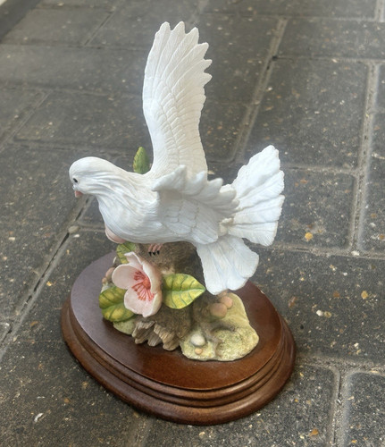 White dove bird - white, with