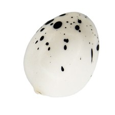  Simulation Bird Eggs Mini