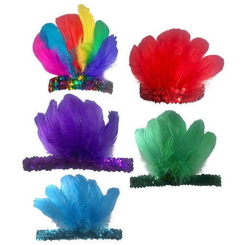 Feather headband elegant - feather, photo