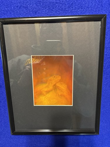 Hologram two lizards a - lizards,