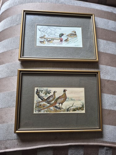 Cashs coventry silk mallard - coventry,