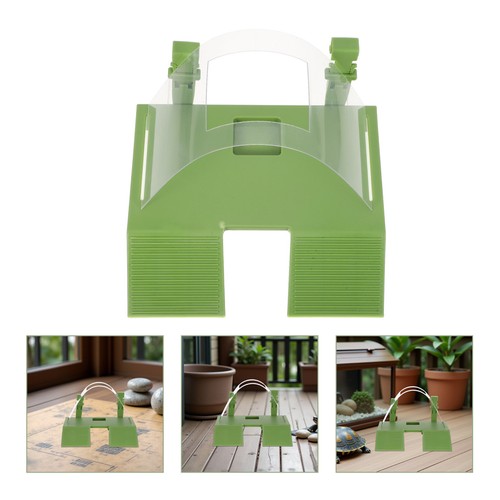 Basking platform lizard - ,