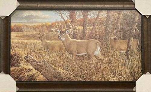 Ron van gilder the - gilder,