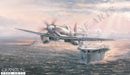 Fleet air arm seafire - fleet,