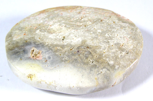 Fossilised coral palmstone - coral,