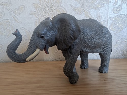 Elc grey elephant - safari, zoo