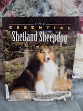 shetland sheepdog book