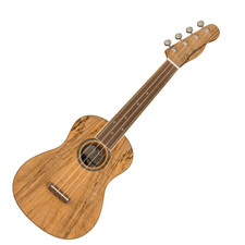 Fender Zuma Exotic Concert