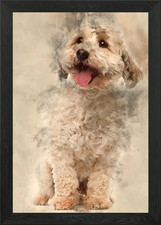 Cross breed dog 8 years ol