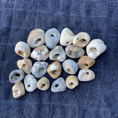 Twenty natural hag stones - hag,