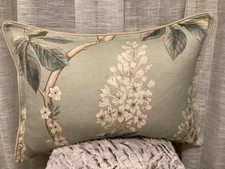 Sanderson Chestnut Tree Oxford