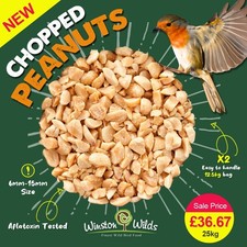 25kg Wild Bird Peanuts (
