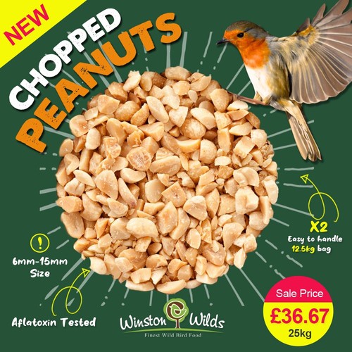 25kg wild bird peanuts - wild,