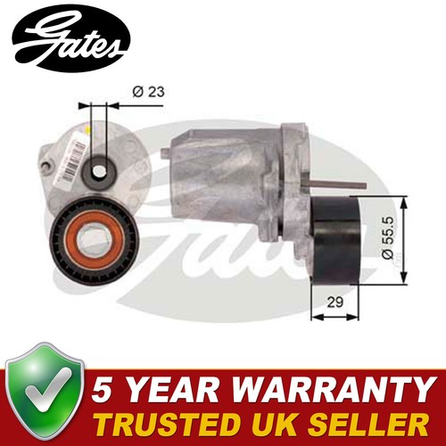 Gates drive belt - drive, tensioner