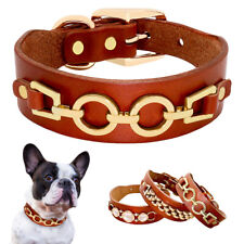 3cm Wide Pet Dog Studded