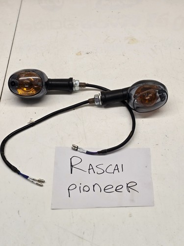 Rascal pioneer mobility