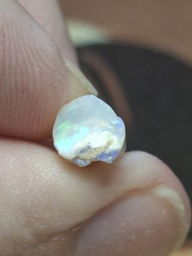 Australia belemnite - 5.ct,