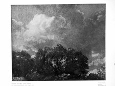 Old Vintage Print Study Sky And Trees John Constable Painting In V&A 1927 20th