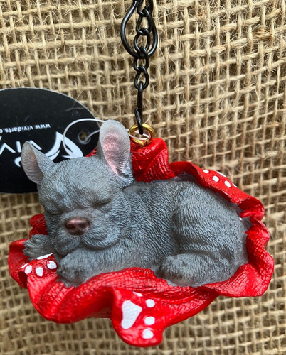 French bulldog blue blanket - blue, on