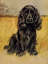 COCKER SPANIEL CHARMING DOG GREETINGS NOTE CARD BEAUTIFUL BLACK DOG IN FIELD