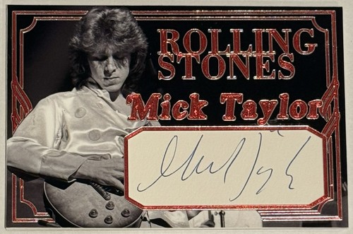 Mick taylor custom - taylor,