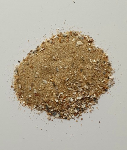 Crushed shell sand miniature - shell,