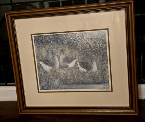 Large framed print toulouse - large,