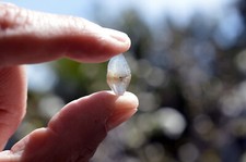 Rough Unheated Natural Blue