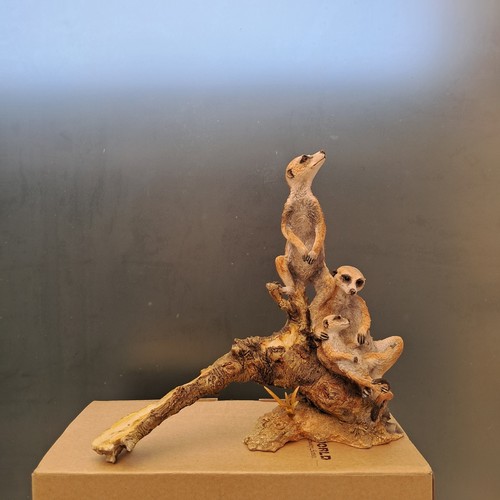 Country artists meerkats - country,
