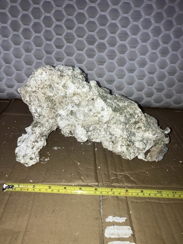 Rk7 unique shaped dry live - shaped,